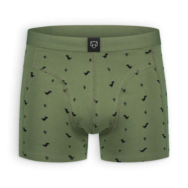 A-dam - Boxer shorts 'Light Green Dino'
