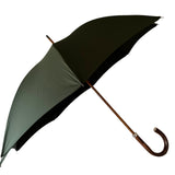 ince umbrella
