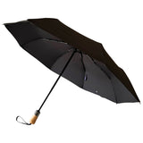 ince umbrella
